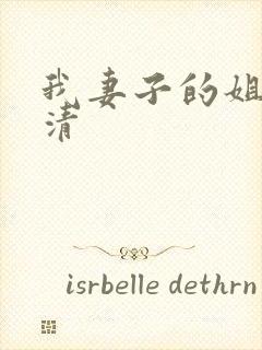 我妻子的姐姐高清封面