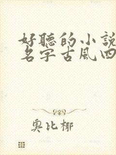 好听的小说女主名字古风四字