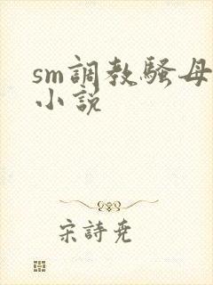 sm调教骚母狗小说封面
