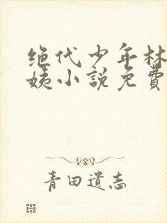 绝代少年林宇梅姨小说免费阅读