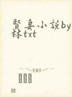 贤妻小说by朽林txt封面