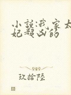 小说:我家太子妃超凶的