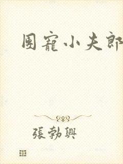 团宠小夫郎番外