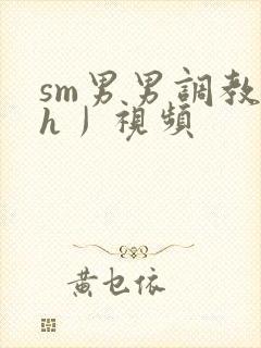 sm男男调教〈h丿视频