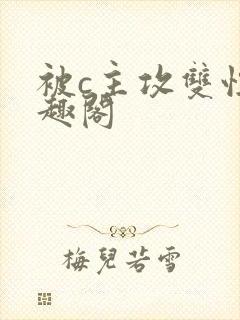 被c主攻双性笔趣阁