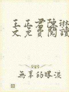 王正君陈琳洁全文免费阅读最新章节封面