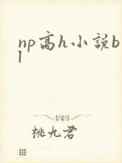 np高h小说bl