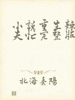 小说重生辣妻撩夫忙完整版未删减小说