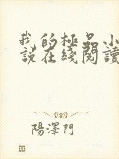 我的极品小姨小说在线阅读全文免费