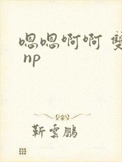 嗯嗯啊啊 双性 np