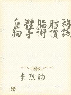 自体脂肪移植隆胸手术价钱