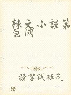 辣文小说第二书包网
