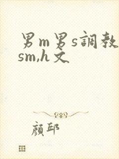 男m男s调教(sm,h文