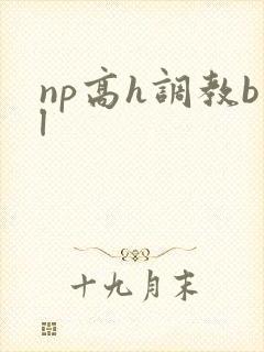 np高h调教bl