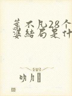 叶不凡28个老婆结局是什么封面