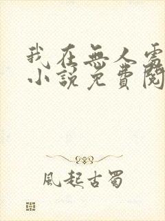 我在无人处爱你小说免费阅读全文封面