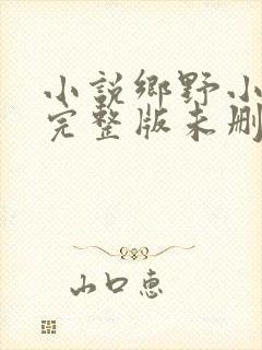 小说乡野小傻医完整版未删减小说