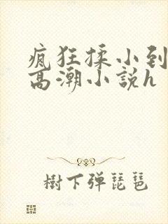 疯狂揉小到失禁高潮小说h