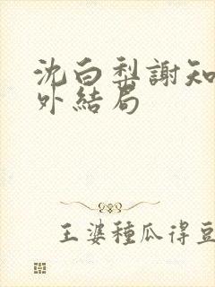 沈白梨谢知聿番外结局封面