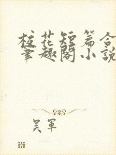 校花短篇合集_笔趣阁小说封面