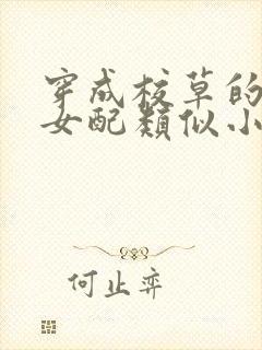 穿成校草的心尖女配类似小说