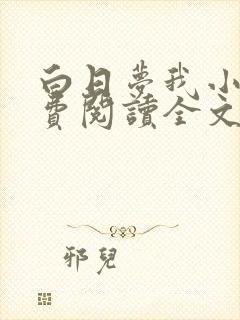 白日梦我小说免费阅读全文无删减封面