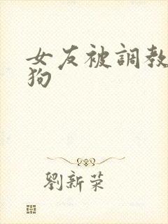 女友被调教成母狗封面