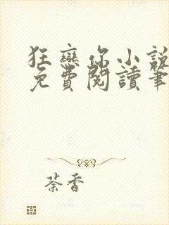 狂恋你小说全文免费阅读笔趣阁封面