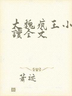 大魏疯王小说阅读全文