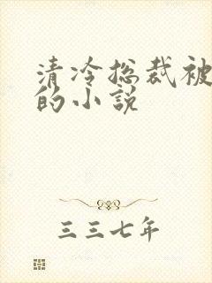 清冷总裁被惩罚的小说