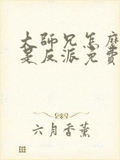 大师兄怎么可能是反派免费阅读