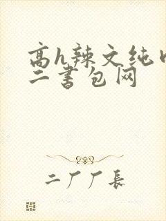 高h辣文纯肉第二书包网