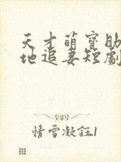 天才萌宝助攻爹地追妻短剧