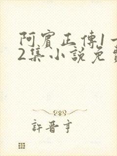 阿宾正传1一72集小说免费阅读