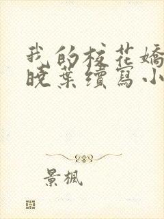 我的校花娇妻秦晓叶续写小说