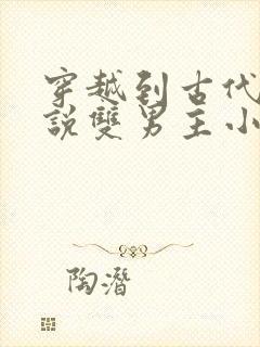 穿越到古代的小说双男主小说