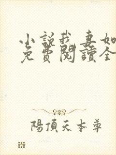 小说我妻如奴琳免费阅读全文