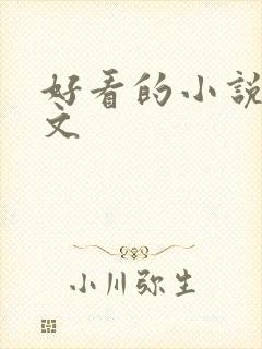 好看的小说高干文
