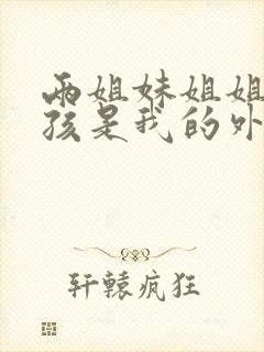 两姐妹姐姐的小孩是我的外甥还是侄子