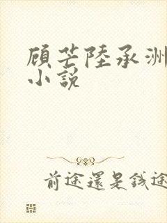 顾芒陆承洲宋薇小说