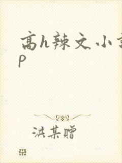 高h辣文小说np封面