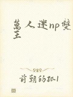 万人迷np双男主