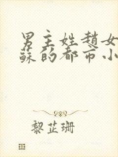 男主姓赵女主姓苏的都市小说