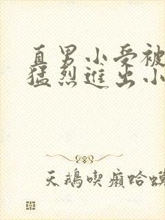 直男小受被粗大猛烈进出小说封面