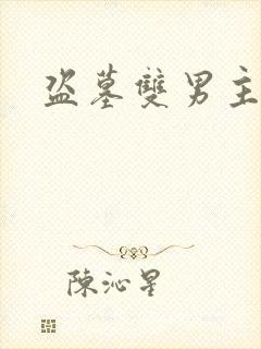 盗墓双男主小说