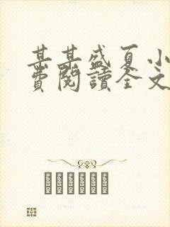 某某盛夏小说免费阅读全文
