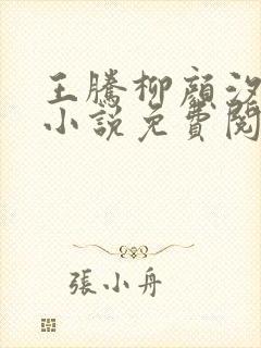 王腾柳颜汐穿越小说免费阅读封面