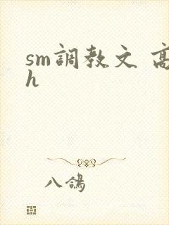 sm调教文 高h