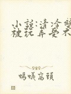 小说:清冷双性被玩弄受不了了不断高潮封面