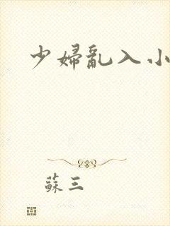 少妇乱入小说